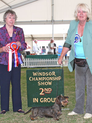 Hound group 2nd